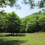 秩父山地にある神秘の不思議空間