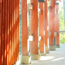 山の中を歩く千本鳥居と階段の道。