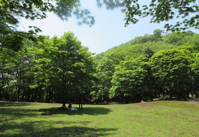 秩父山地にある神秘の不思議空間