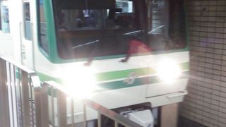 ４両編成の通勤電車タイプの車両が走っています