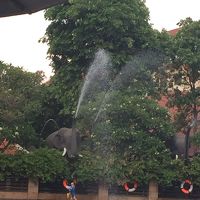 リクエストすると像からシャワーが！