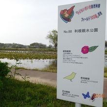 子どもいきいき自然体験フィールド１００選