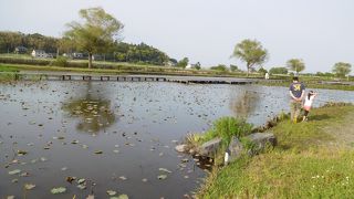 子どもいきいき自然体験フィールド１００選です。