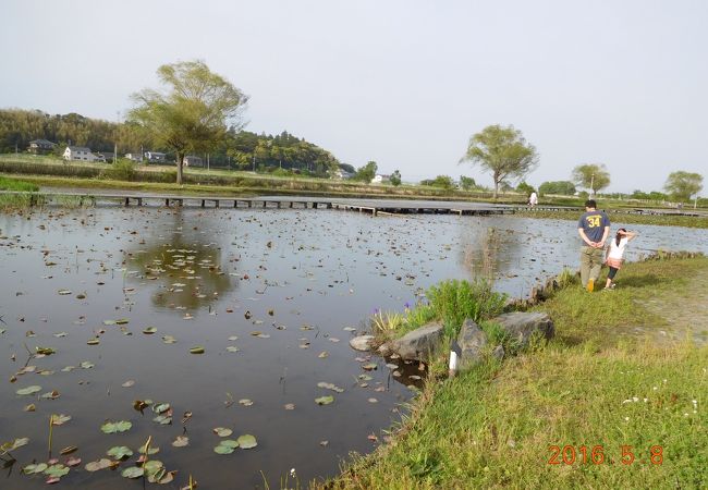 利根親水公園 クチコミ アクセス 営業時間 牛久 龍ヶ崎 フォートラベル
