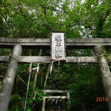 琴平神社鳥居