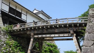 ひこにゃんは、本当のゆるキャラ