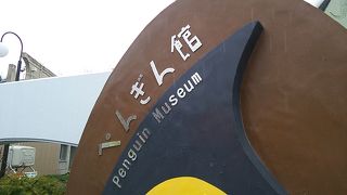 運が良ければ水槽の中を泳ぐペンギンの姿を見れるかも…