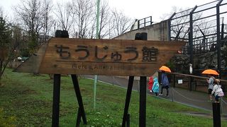 館内の中では比較的空いています