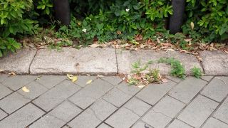 横須賀市民憩いの公園