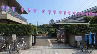 江戸時代から楽しまれていた菖蒲園