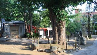 鳩森八幡神社に参拝。