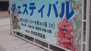 さつきフェスティバル♪