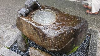 19号線沿いの道の駅