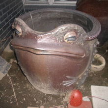 甕に扮したカエルさんの様子