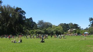 細長い形が特徴