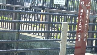 川沿いがきれいになっています