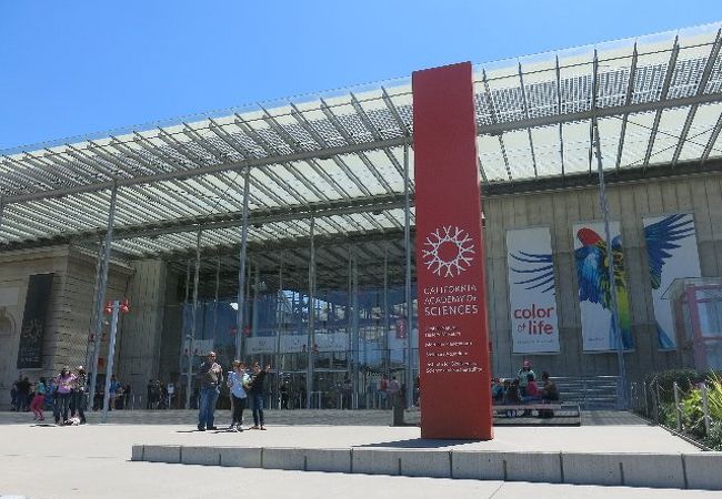 カリフォルニア科学アカデミー クチコミ アクセス 営業時間 サンフランシスコ フォートラベル カリフォルニア科学アカデミー クチコミ アクセス 営業時間 サンフランシスコ フォートラベル