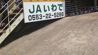 ＪＡいわで　さくらんぼ狩り