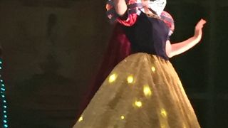 何度見ても感動するエレクトリカルパレード