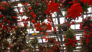 なばなの里の入園料とは別に1000円かかりますが、見る価値のあるガーデンです!