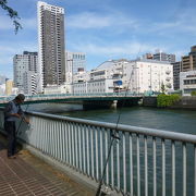 土佐堀川は綺麗になりました！