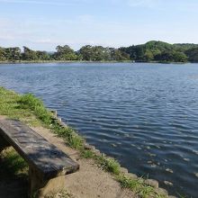 湖畔にはベンチも。