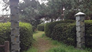 一帯が松林に覆われています