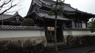 早いですね、モクレンが咲いていました