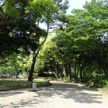 横浜公園