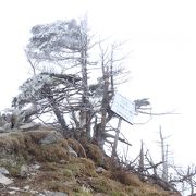 近畿地方最高峰の山