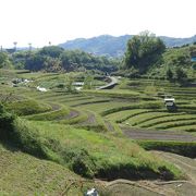 山城としても使われた棚田