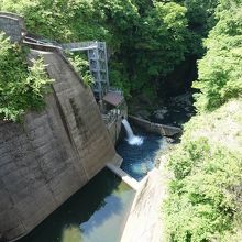 ダムの上から下流部を見たところ。