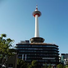 まさしくローソクの形！