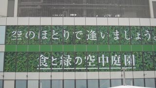 青空フードコートで食と緑を楽しめます