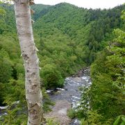 早瀬のような滝です、途中は急峻な山道でした