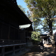 この左の建物が本殿かしら？