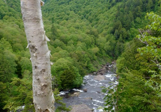 早瀬のような滝です、途中は急峻な山道でした