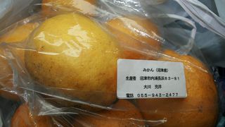 レモンが売っていました。