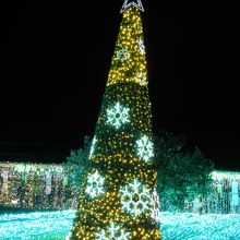 クリスマスツリー