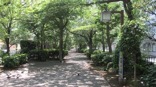 都心にある緑の公園です