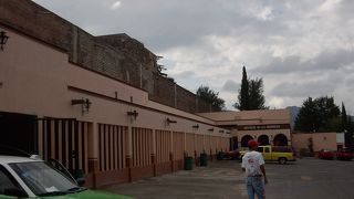 すごい数のミイラ