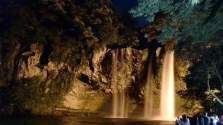 夜も綺麗でした