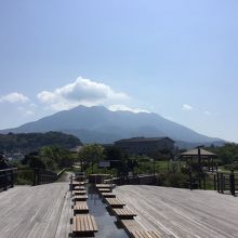 桜島がキレイに見えます！