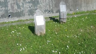 急こう配＾＾；