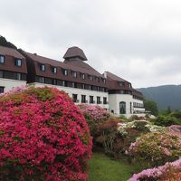 見頃のピークは過ぎました