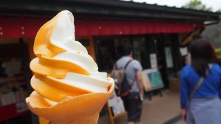 念願のソフトクリーム