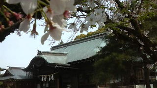 源頼朝も戦勝祈願に参拝したそうです