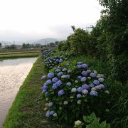 1週間早く訪問しました