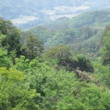 頂上付近からの眺め
