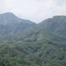 頂上付近からの眺め